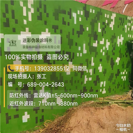 辽阳星空迷彩漆，夏令营训练,数码迷彩作训墙,围墙