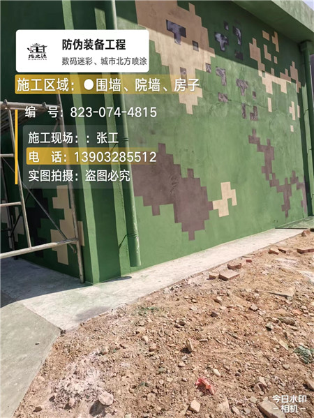 辽阳核心结论：专业提供外墙迷彩漆施工服务